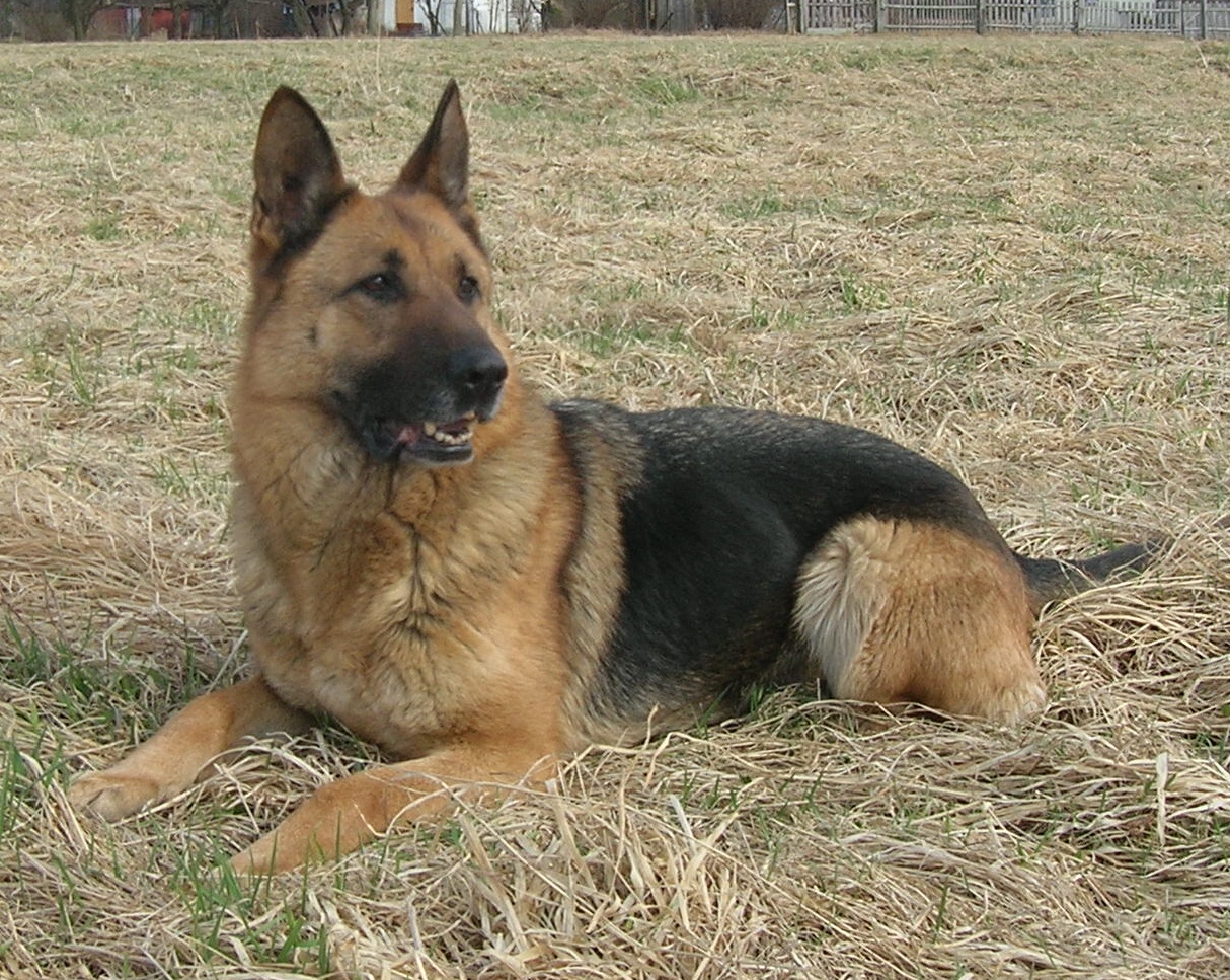 duben 2011